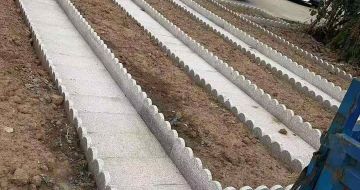 江门芝麻白花边石